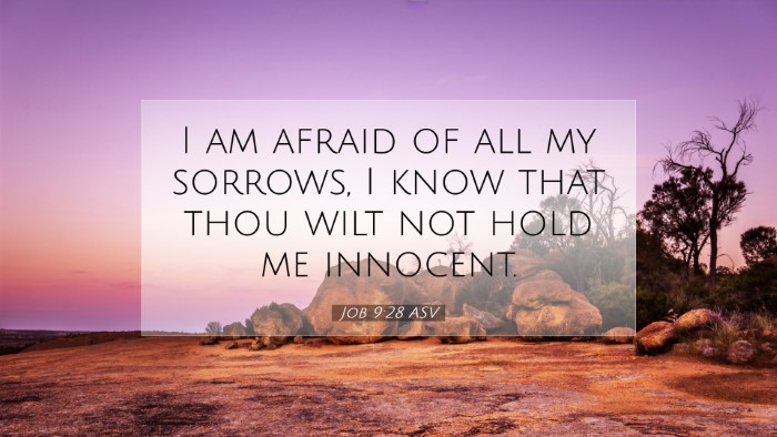 Picture 07 - Job 9:28 ASV Desktop Wallpaper - I am afraid of all my sorrows, I know that thou - Desktop Bible Verse Wallpaper