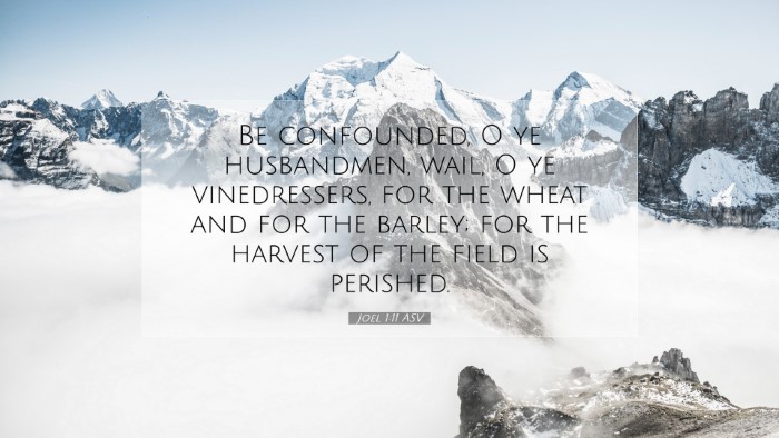 Picture 07 - Joel 1:11 ASV Desktop Wallpaper - Be confounded, O ye husbandmen, wail, O ye - Desktop Bible Verse Wallpaper