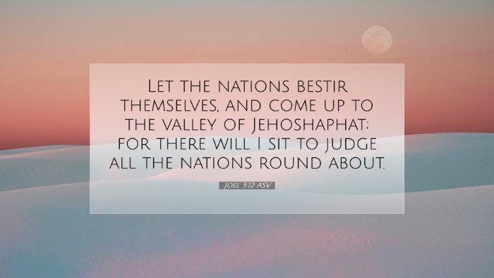 Picture 07 - Joel 3:12 ASV Desktop Wallpaper - Let the nations bestir themselves, and come up to - Desktop Bible Verse Wallpaper