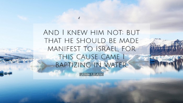 Picture 07 - John 1:31 ASV Desktop Wallpaper - And I knew him not; but that he should be made - Desktop Bible Verse Wallpaper