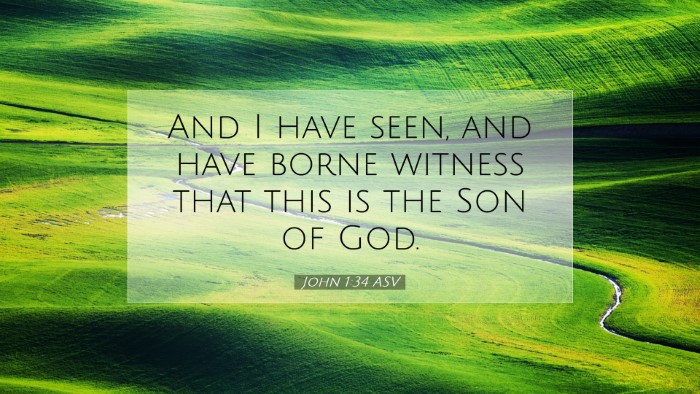 Picture 07 - John 1:34 ASV Desktop Wallpaper - And I have seen, and have borne witness that this - Desktop Bible Verse Wallpaper