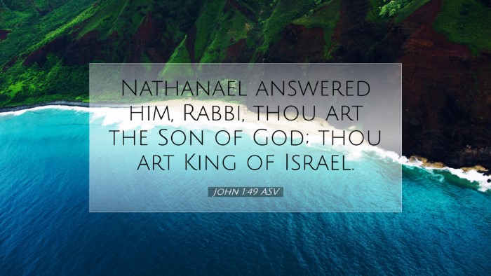 Picture 07 - John 1:49 ASV Desktop Wallpaper - Nathanael answered him, Rabbi, thou art the Son - Desktop Bible Verse Wallpaper