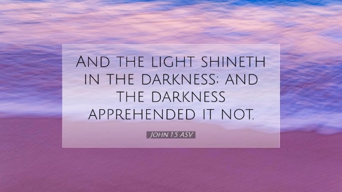 Picture 07 - John 1:5 ASV Desktop Wallpaper - And the light shineth in the darkness; and the - Desktop Bible Verse Wallpaper