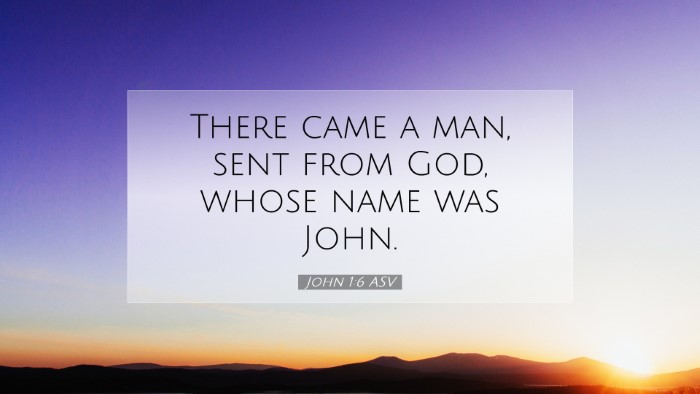 Picture 07 - John 1:6 ASV Desktop Wallpaper - There came a man, sent from God, whose name was - Desktop Bible Verse Wallpaper
