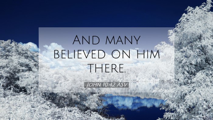Picture 07 - John 10:42 ASV Desktop Wallpaper - And many believed on him - Desktop Bible Verse Wallpaper