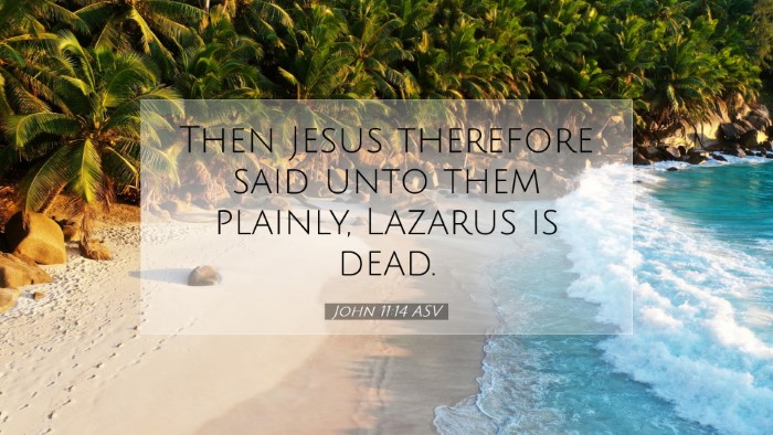Picture 07 - John 11:14 ASV Desktop Wallpaper - Then Jesus therefore said unto them plainly, - Desktop Bible Verse Wallpaper