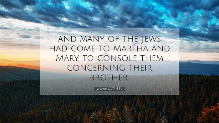 Picture 07 - John 11:19 ASV Desktop Wallpaper - and many of the Jews had come to Martha and Mary, - Desktop Bible Verse Wallpaper