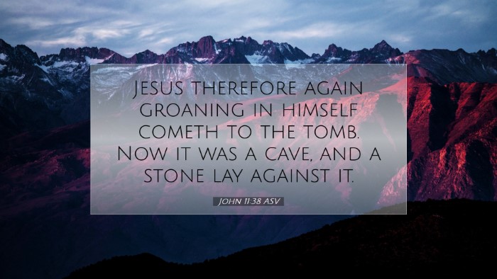 Picture 07 - John 11:38 ASV Desktop Wallpaper - Jesus therefore again groaning in himself cometh - Desktop Bible Verse Wallpaper