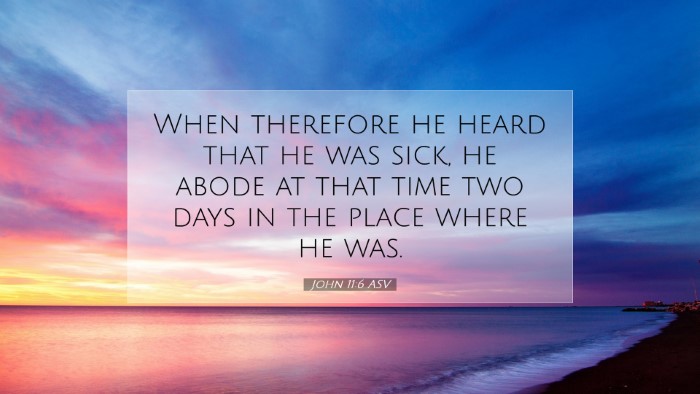 Picture 07 - John 11:6 ASV Desktop Wallpaper - When therefore he heard that he was sick, he - Desktop Bible Verse Wallpaper