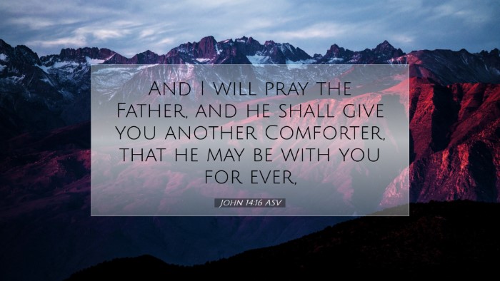 Picture 07 - John 14:16 ASV Desktop Wallpaper - And I will pray the Father, and he shall give you - Desktop Bible Verse Wallpaper