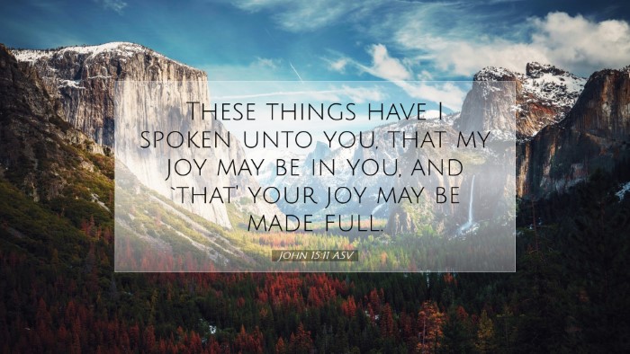 Picture 07 - John 15:11 ASV Desktop Wallpaper - These things have I spoken unto you, that my joy - Desktop Bible Verse Wallpaper