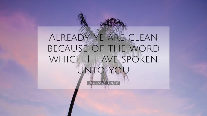 Picture 07 - John 15:3 ASV Desktop Wallpaper - Already ye are clean because of the word which I - Desktop Bible Verse Wallpaper