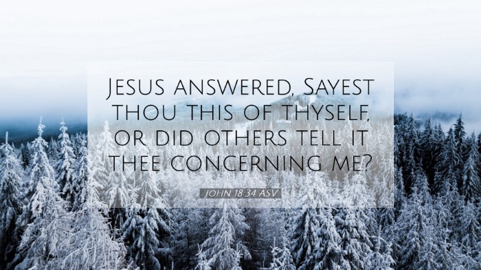 Picture 07 - John 18:34 ASV Desktop Wallpaper - Jesus answered, Sayest thou this of thyself, or - Desktop Bible Verse Wallpaper