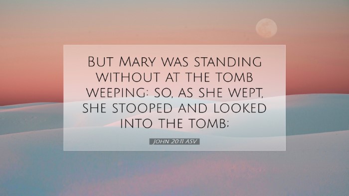 Picture 07 - John 20:11 ASV Desktop Wallpaper - But Mary was standing without at the tomb - Desktop Bible Verse Wallpaper