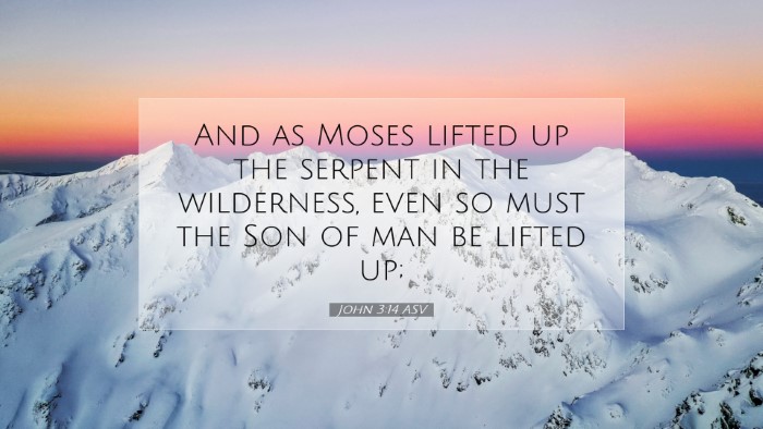 Picture 07 - John 3:14 ASV Desktop Wallpaper - And as Moses lifted up the serpent in the - Desktop Bible Verse Wallpaper