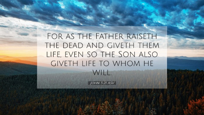 Picture 07 - John 5:21 ASV Desktop Wallpaper - For as the Father raiseth the dead and giveth - Desktop Bible Verse Wallpaper