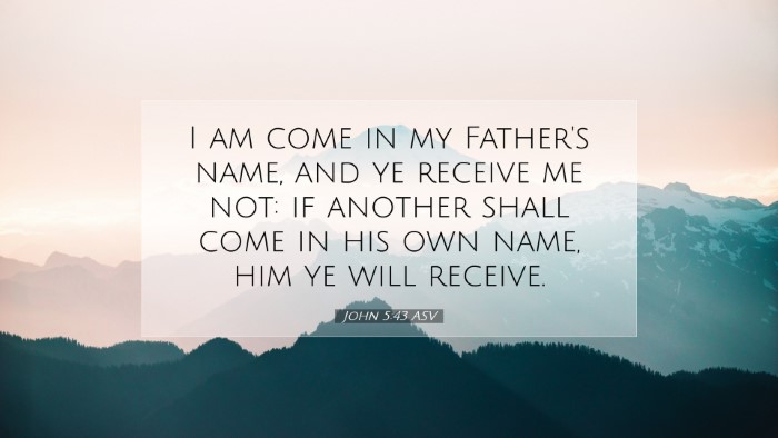 Picture 07 - John 5:43 ASV Desktop Wallpaper - I am come in my Father's name, and ye receive me - Desktop Bible Verse Wallpaper