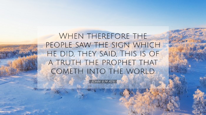 Picture 07 - John 6:14 ASV Desktop Wallpaper - When therefore the people saw the sign which he - Desktop Bible Verse Wallpaper