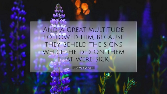 Picture 07 - John 6:2 ASV Desktop Wallpaper - And a great multitude followed him, because they - Desktop Bible Verse Wallpaper
