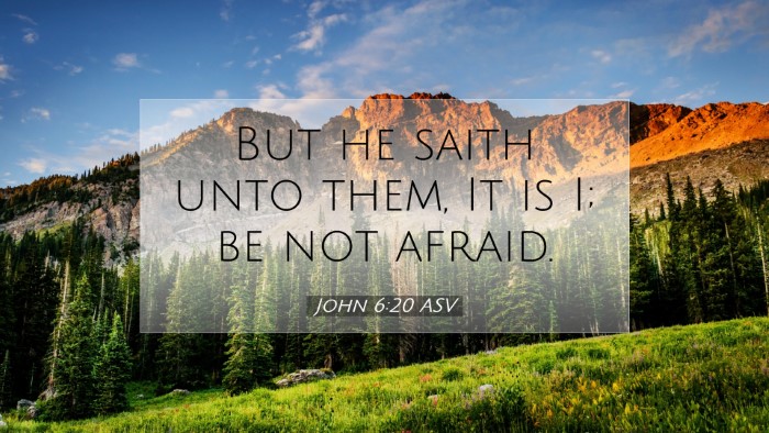 Picture 07 - John 6:20 ASV Desktop Wallpaper - But he saith unto them, It is I; be not - Desktop Bible Verse Wallpaper
