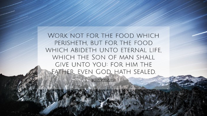 Picture 07 - John 6:27 ASV Desktop Wallpaper - Work not for the food which perisheth, but for - Desktop Bible Verse Wallpaper