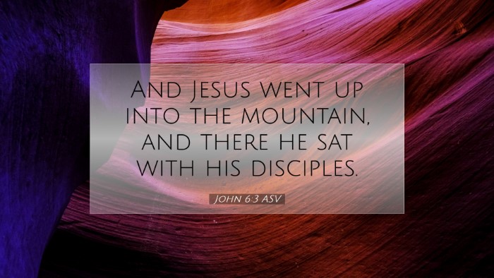 Picture 07 - John 6:3 ASV Desktop Wallpaper - And Jesus went up into the mountain, and there he - Desktop Bible Verse Wallpaper