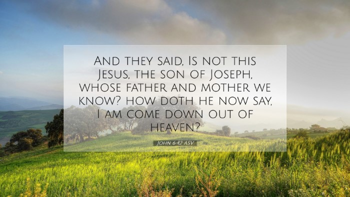 Picture 07 - John 6:42 ASV Desktop Wallpaper - And they said, Is not this Jesus, the son of - Desktop Bible Verse Wallpaper