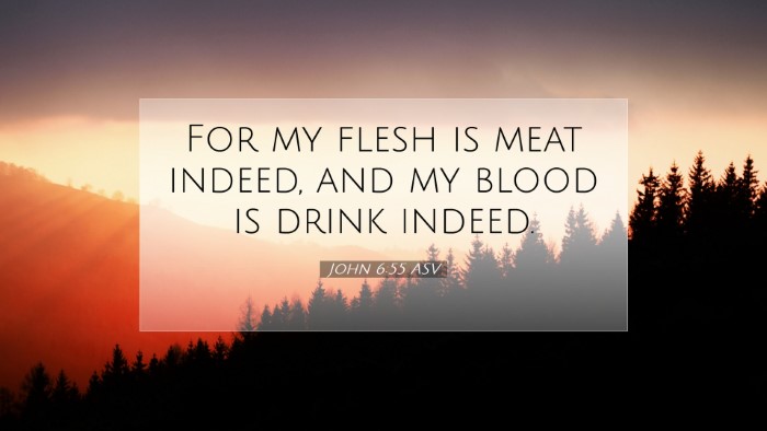 Picture 07 - John 6:55 ASV Desktop Wallpaper - For my flesh is meat indeed, and my blood is - Desktop Bible Verse Wallpaper