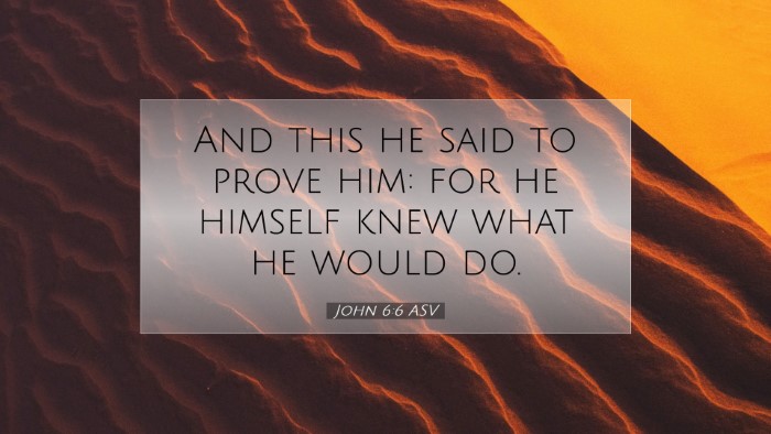 Picture 07 - John 6:6 ASV Desktop Wallpaper - And this he said to prove him: for he himself - Desktop Bible Verse Wallpaper