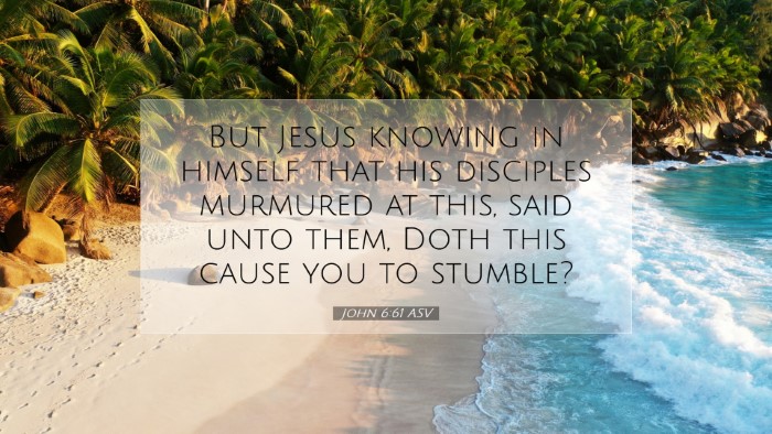 Picture 07 - John 6:61 ASV Desktop Wallpaper - But Jesus knowing in himself that his disciples - Desktop Bible Verse Wallpaper