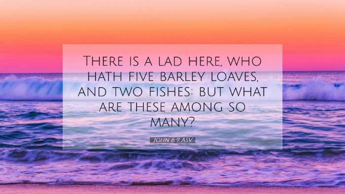 Picture 07 - John 6:9 ASV Desktop Wallpaper - There is a lad here, who hath five barley loaves, - Desktop Bible Verse Wallpaper