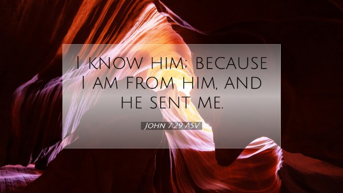Picture 07 - John 7:29 ASV Desktop Wallpaper - I know him; because I am from him, and he sent - Desktop Bible Verse Wallpaper