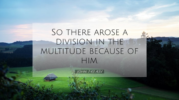 Picture 07 - John 7:43 ASV Desktop Wallpaper - So there arose a division in the multitude - Desktop Bible Verse Wallpaper