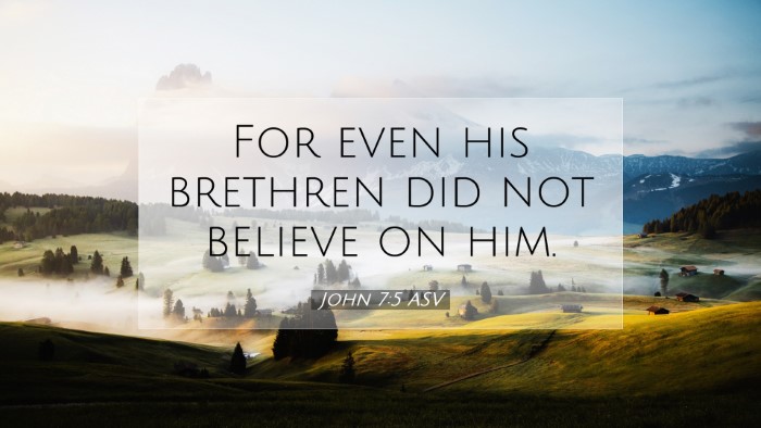 Picture 07 - John 7:5 ASV Desktop Wallpaper - For even his brethren did not believe on - Desktop Bible Verse Wallpaper