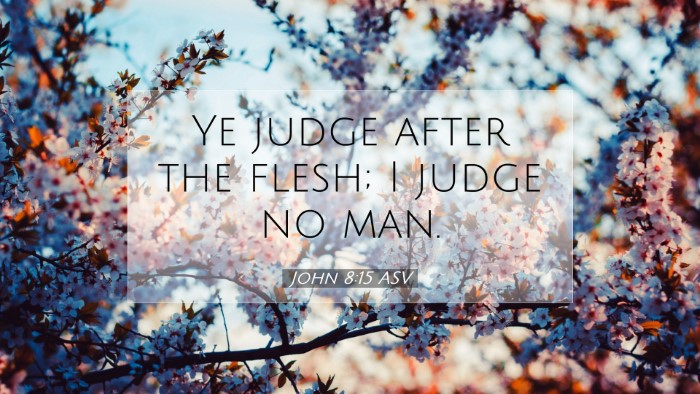 Picture 07 - John 8:15 ASV Desktop Wallpaper - Ye judge after the flesh; I judge no - Desktop Bible Verse Wallpaper