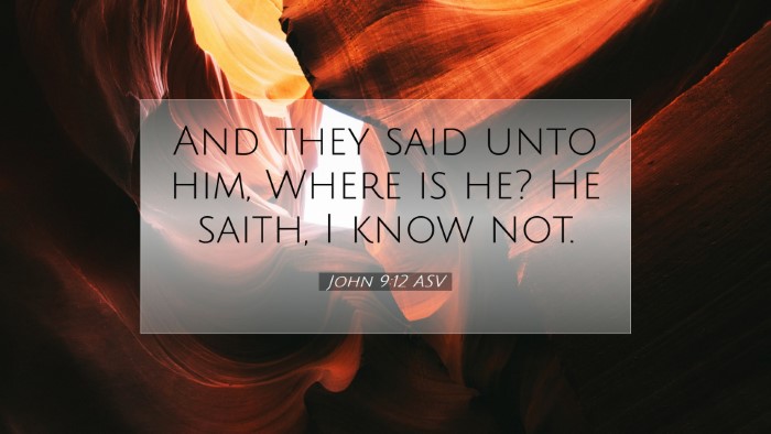 Picture 07 - John 9:12 ASV Desktop Wallpaper - And they said unto him, Where is he? He saith, I - Desktop Bible Verse Wallpaper
