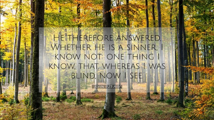 Picture 07 - John 9:25 ASV Desktop Wallpaper - He therefore answered, Whether he is a sinner, I - Desktop Bible Verse Wallpaper