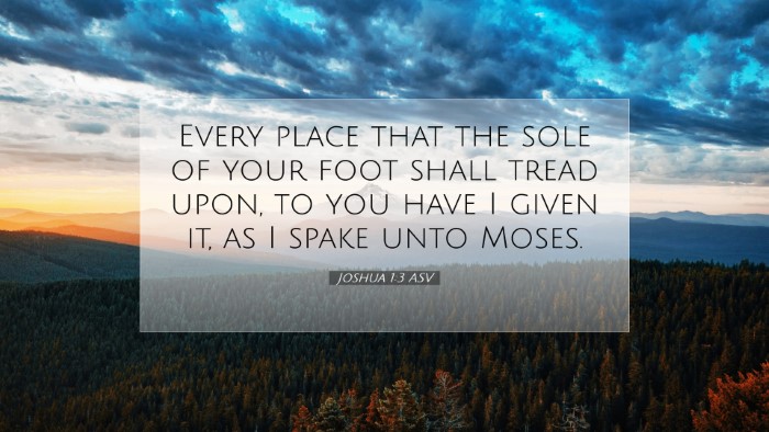 Picture 07 - Joshua 1:3 ASV Desktop Wallpaper - Every place that the sole of your foot shall - Desktop Bible Verse Wallpaper