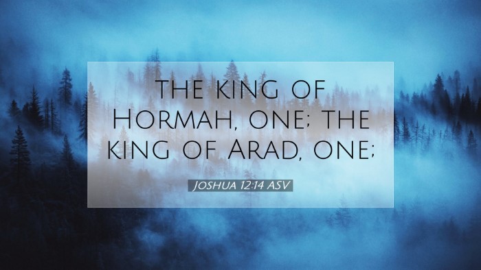 Picture 07 - Joshua 12:14 ASV Desktop Wallpaper - the king of Hormah, one; the king of Arad, - Desktop Bible Verse Wallpaper