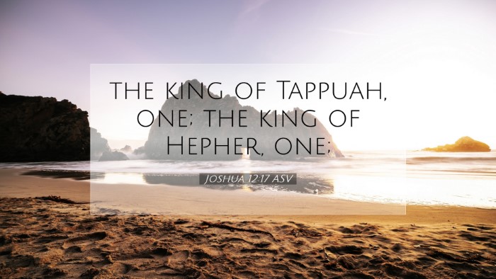 Picture 07 - Joshua 12:17 ASV Desktop Wallpaper - the king of Tappuah, one; the king of Hepher, - Desktop Bible Verse Wallpaper
