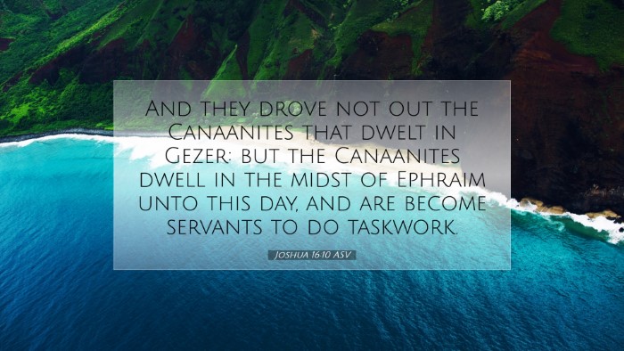 Picture 07 - Joshua 16:10 ASV Desktop Wallpaper - And they drove not out the Canaanites that dwelt - Desktop Bible Verse Wallpaper