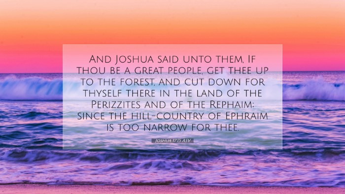 Picture 07 - Joshua 17:15 ASV Desktop Wallpaper - And Joshua said unto them, If thou be a great - Desktop Bible Verse Wallpaper