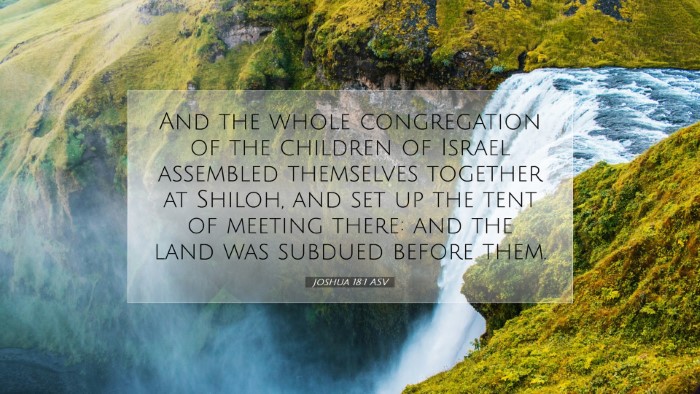 Picture 07 - Joshua 18:1 ASV Desktop Wallpaper - And the whole congregation of the children of - Desktop Bible Verse Wallpaper