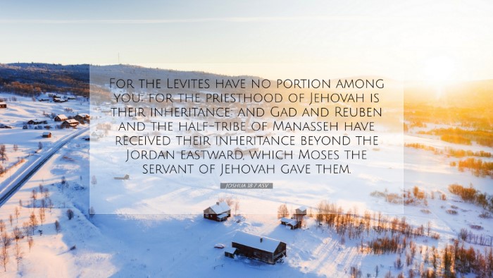 Picture 07 - Joshua 18:7 ASV Desktop Wallpaper - For the Levites have no portion among you; for - Desktop Bible Verse Wallpaper
