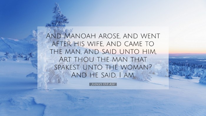 Picture 07 - Judges 13:11 ASV Desktop Wallpaper - And Manoah arose, and went after his wife, and - Desktop Bible Verse Wallpaper