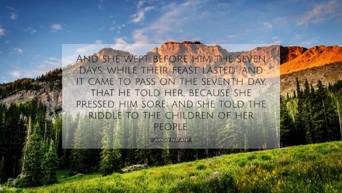 Picture 07 - Judges 14:17 ASV Desktop Wallpaper - And she wept before him the seven days, while - Desktop Bible Verse Wallpaper