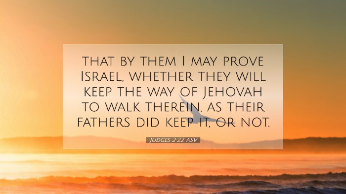 Picture 07 - Judges 2:22 ASV Desktop Wallpaper - that by them I may prove Israel, whether they - Desktop Bible Verse Wallpaper