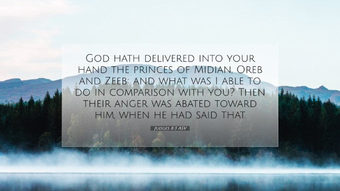 Picture 07 - Judges 8:3 ASV Desktop Wallpaper - God hath delivered into your hand the princes of - Desktop Bible Verse Wallpaper