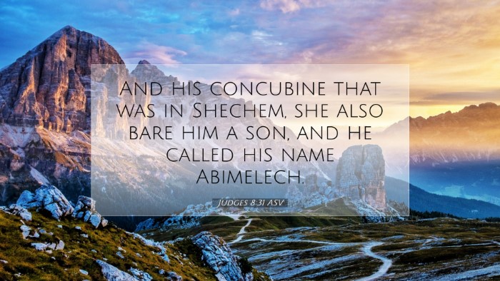 Picture 07 - Judges 8:31 ASV Desktop Wallpaper - And his concubine that was in Shechem, she also - Desktop Bible Verse Wallpaper
