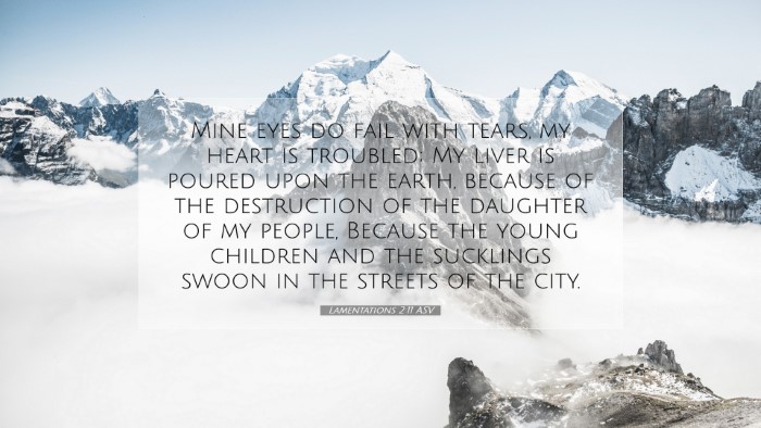 Picture 07 - Lamentations 2:11 ASV Desktop Wallpaper - Mine eyes do fail with tears, my heart is - Desktop Bible Verse Wallpaper